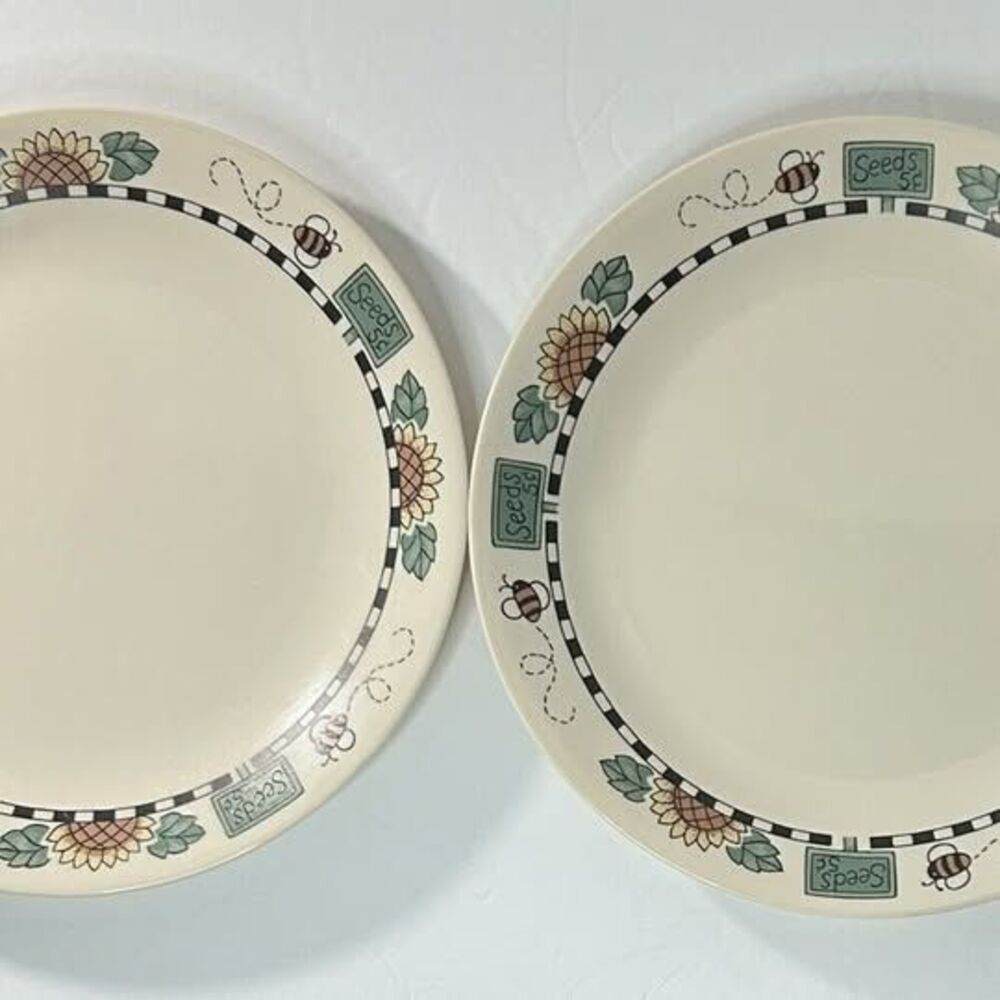 Lot of 2 Corelle Sunblossoms 10-1/4” Dishes glossy surface EUC -Made in US